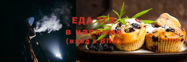 тгк Бердск