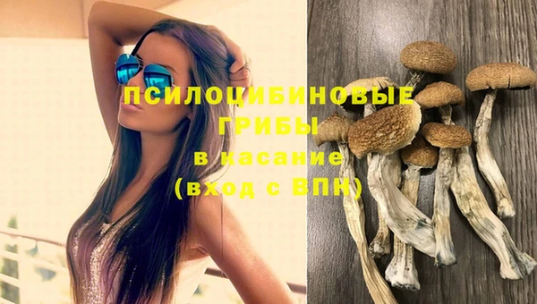 прущая мука Армянск