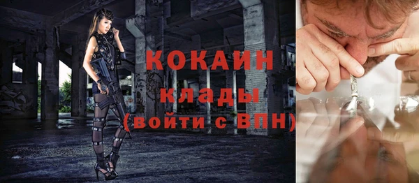 дживик Арсеньев