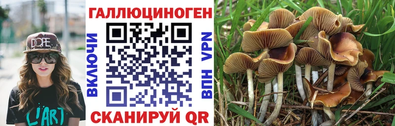 Галлюциногенные грибы мухоморы  купить наркотики цена  Аша 