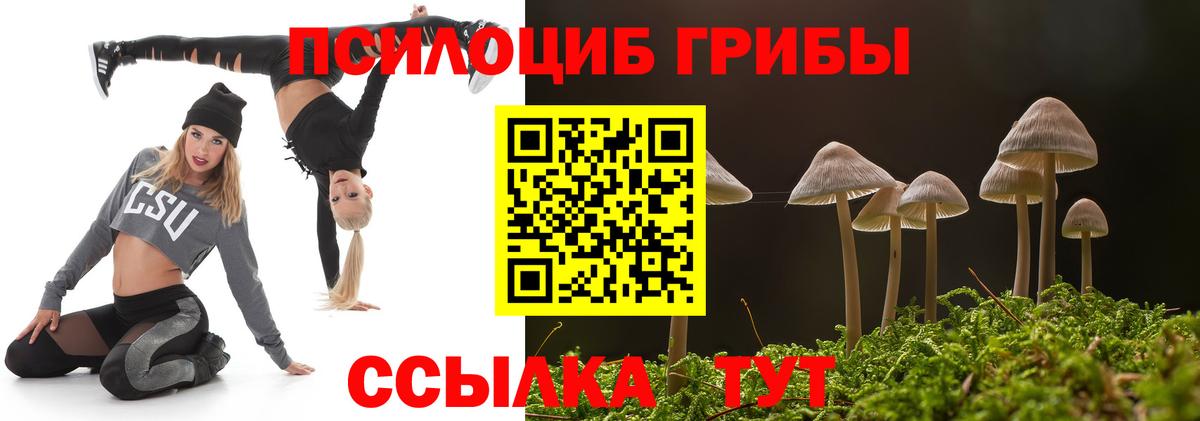 Аша  Псилоцибиновые грибы мухоморы  Вход с VPN 